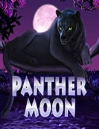 slot xo ฝาก 100 เล่นง่าย ได้เงินจริงไม่ควรพลาด